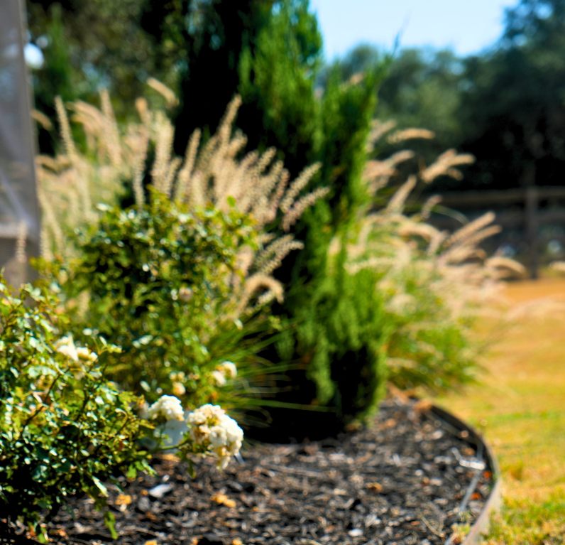 Backyard transformation with hardscape and turf