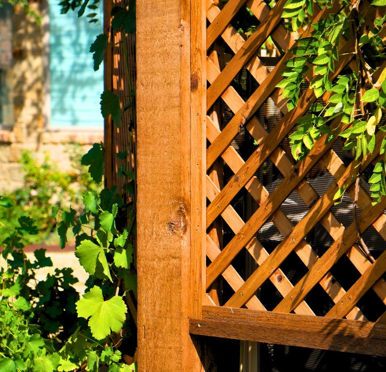 Backyard living area detail
